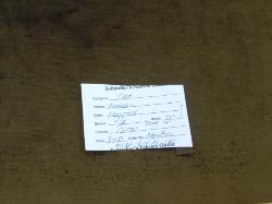 Schindlers fabrics Shop Tag for  Velvet Upholstery Fabric Color Noisette Pattern Brussels