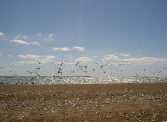 Canadian Pelee Island view of US Erie Islands