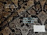 Duralee Arya Jet Decorator Fabric from Duralee's Black & White Prints and Wovens Collection