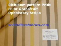 pattern Pride, for upholstery and other multipurpose home decorating